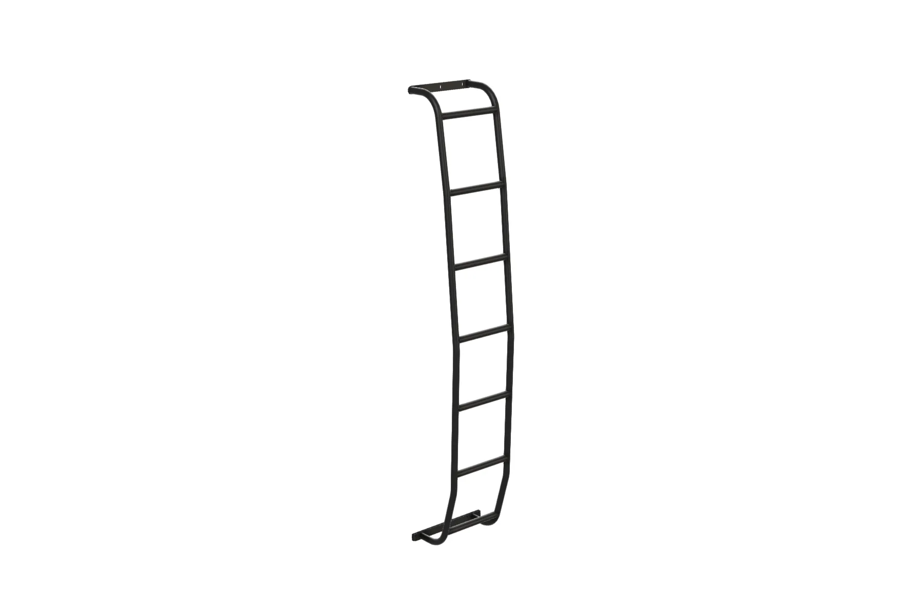 Promaster Stealth  Side Ladder