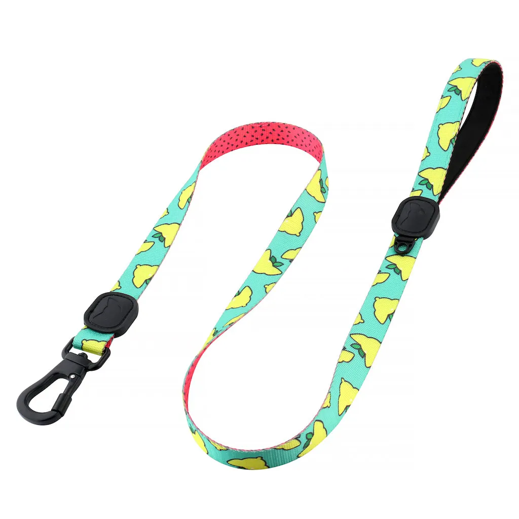 Sour Pawtches Premium Dog Leash