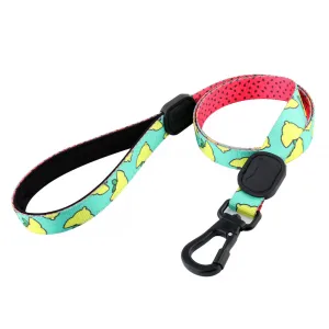 Sour Pawtches Premium Dog Leash