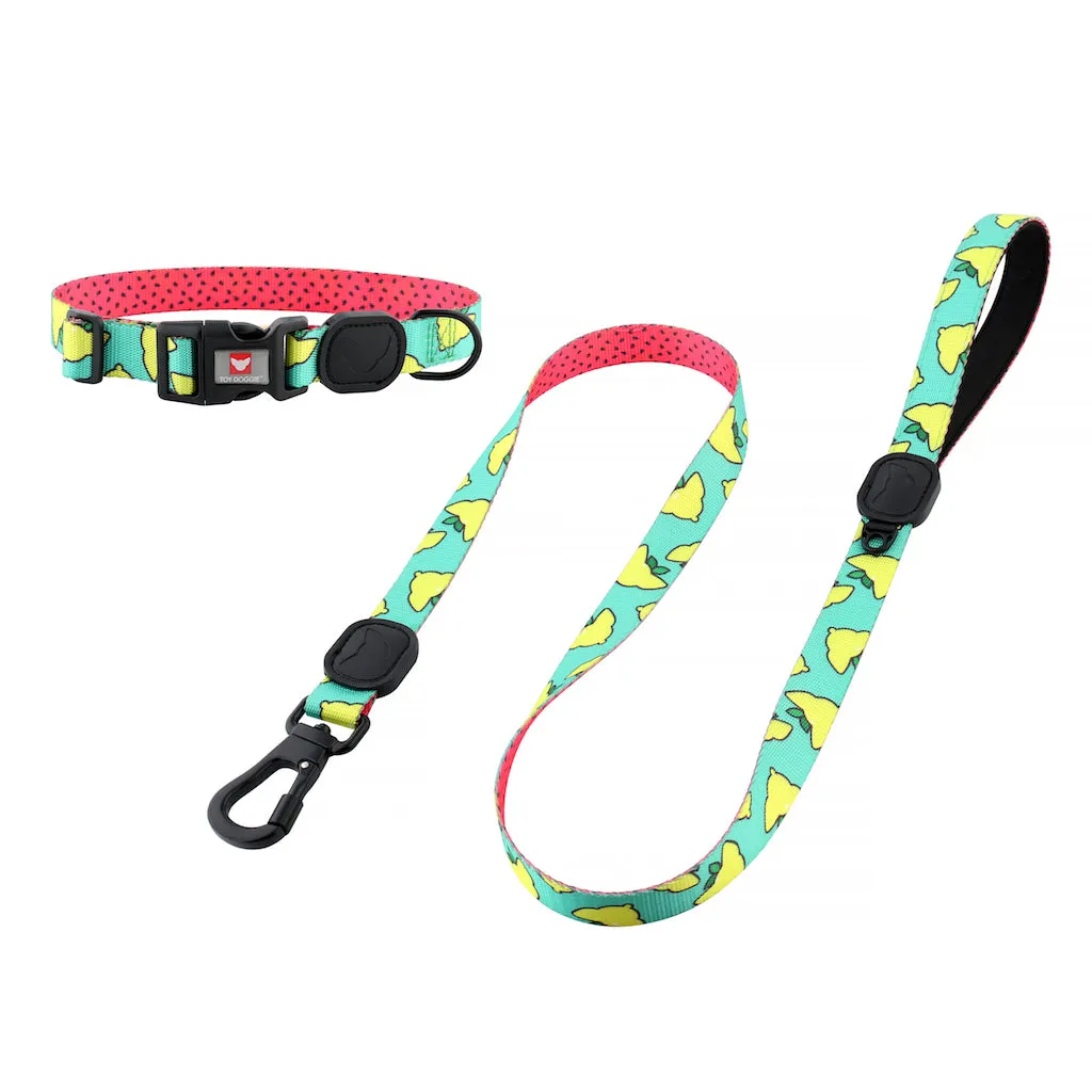 Sour Pawtches Premium Dog Leash